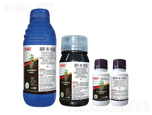 6%���ס������׾��N��̎��Ҹ�����FS��-�f���_(d��)-�л�����ƌW(xu��)