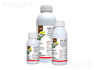 8%���x������ȑҸ���-����-��������