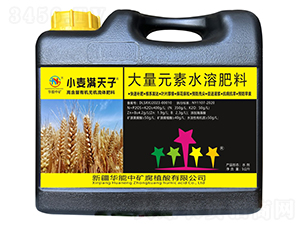 С���M����-�A���еV