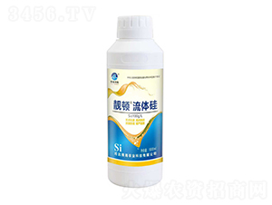 �n�D���w��-��������