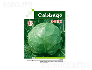 ���{(l��n)�N��-�������{(l��n)-���S�r(n��ng)�I(y��)