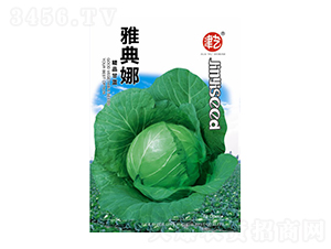 ���{(l��n)�N��-�ŵ���-���S�r(n��ng)�I(y��)