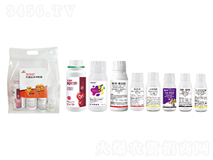 ������С��ʮ���ײ�-��������