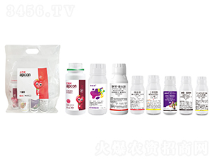 ���տ�С��ʮ���ײ�-��������