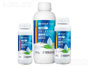 �Ǵ��}-��ʢ��-�Z������