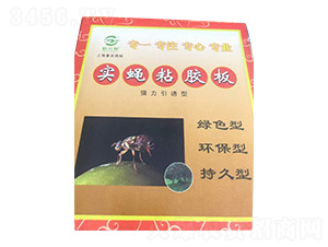 �G�T���Ϲ���(sh��)ω��-�������