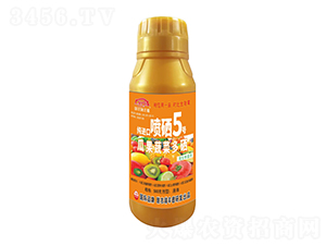 �Ϲ��߲˶������M(j��n)�ڇ���5̖-�����r(n��ng)��