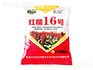精品高粱種子-紅糯16號-惠龍農(nóng)業(yè)