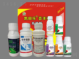 �|�S�գ��˺�һ��-�P�