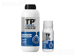 �����ЙC�-�^�ȴ���-��������