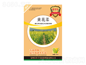 �S����������ó��݄�-���S��-�瘷���r(n��ng)�I(y��)