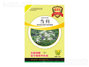 ���w���ο���ˎ�Č���̎�턩-���S��-�瘷���r(n��ng)�I(y��)