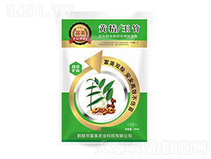 �S��/����ٺϿ���ˎ�Č��ó��݄�-����