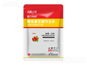 草莓灰霉病綜合技術方案-灰霉一掃光-禾盼之星-禾盼農(nóng)業(yè)