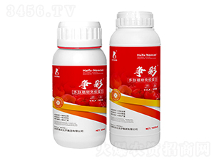 ����ֲ�����ߵ���-��(zh��ng)��-���r(n��ng)�W��