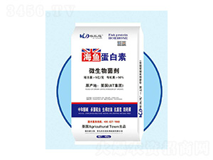 ΢�������-���~������-�r(n��ng)��(l��)������