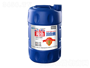 �����ٹ�����-���~������-�r(n��ng)��(l��)������