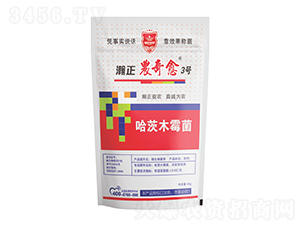 ����ľù��-����r(n��ng)����3̖-������r(n��ng)