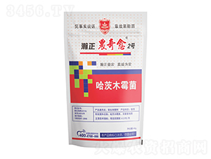 ����ľù��-����r(n��ng)����2̖-������r(n��ng)