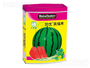 ����(y��u)���������ϷN��-�����N�I(y��)