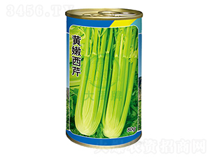 �S������-�۲˷N��-�����N�I(y��)