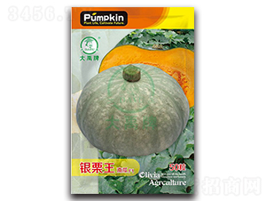 �y�����ϹϷN��-�����N�I(y��)