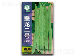 翠龍二號(hào)-架豆種子-大禹種業(yè)