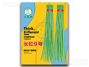 長(zhǎng)豇9號(hào)-豇豆種子-大禹種業(yè)