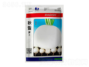 ��ѩ�}��-�ƹ�N��