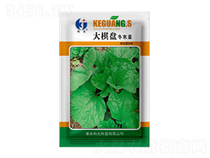 ����P������-�ƹ�N��