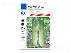 ����095-�ƹ�N��