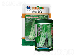 ����S��-�ƹ�N��