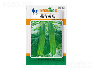 �����S��-�ƹ�N��