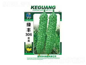 �G�S306-�ƹ�N��