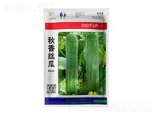 ����z��-�ƹ�N��