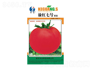 ��t7̖-�ƹ�N��