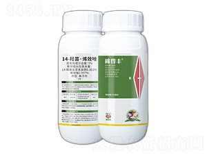 3%14-�u�|��ϩЧ��-�޵��S-���_