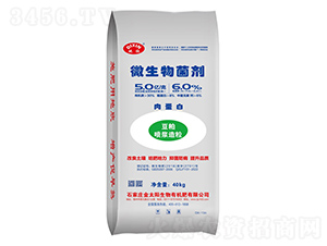 �⵰��΢�������-����-��̫�