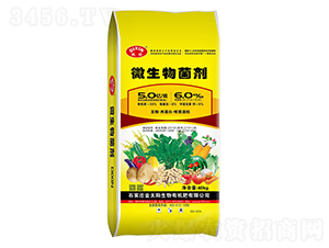 ΢�����������(n��i)�����S���ػ��|(zh��)�����T�����ᣩ-����-��̫�