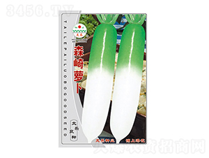 蘿卜種子-森崎蘿卜-太樂種業(yè)