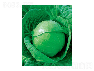 �и�ʮһ���{�N��-̫���N�I(y��)