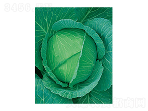 ���Sһ̖���{-̫���N�I(y��)