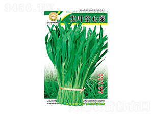 ���Ĳ˷N��-���~���Ĳ�-̫���N�I(y��)