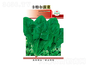 ���˷N��-���ؠ�����-̫���N�I(y��)