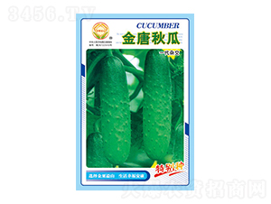 黃瓜種子-金唐秋瓜-太樂種業(yè)