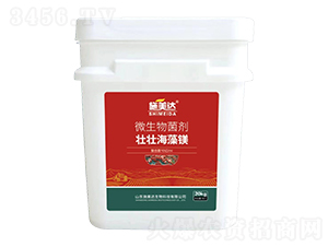 ΢�������-�щѺ����V-ʩ���_(d��)