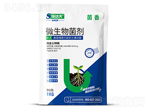 ����΢�������-ʩ�_(d��)��