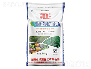 �r�I(y��)�������-����Ȫ-�A���������F