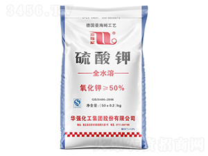 �����-����Ȫ-�A���������F