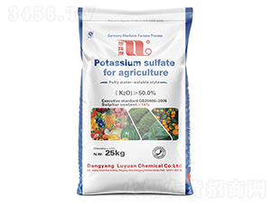 25kg�r�I(y��)�������-����Ȫ-�A���������F